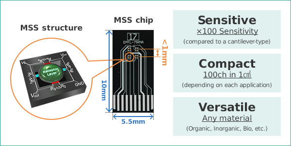[MSS chip]Sensitive,Compact,Versatile