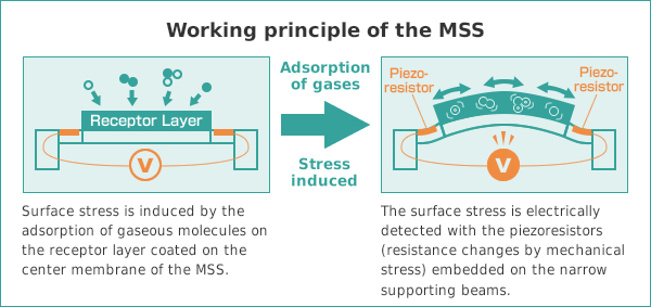 Working principle of the MSS